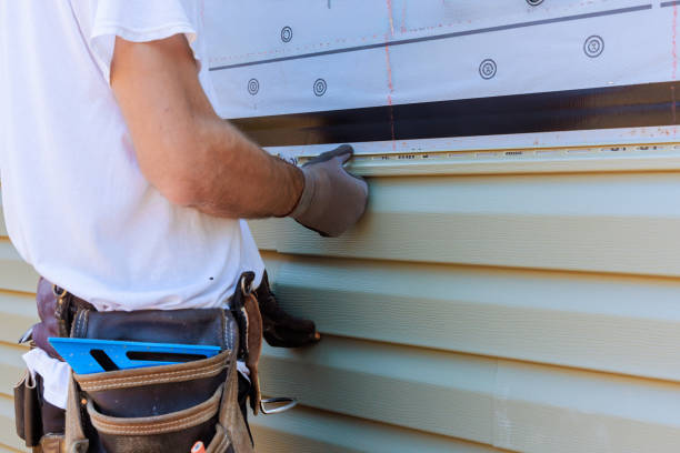 Best Custom Siding Design  in Hamilton, GA